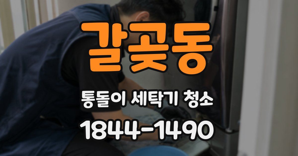 갈곶동 통돌이 세탁기 청소