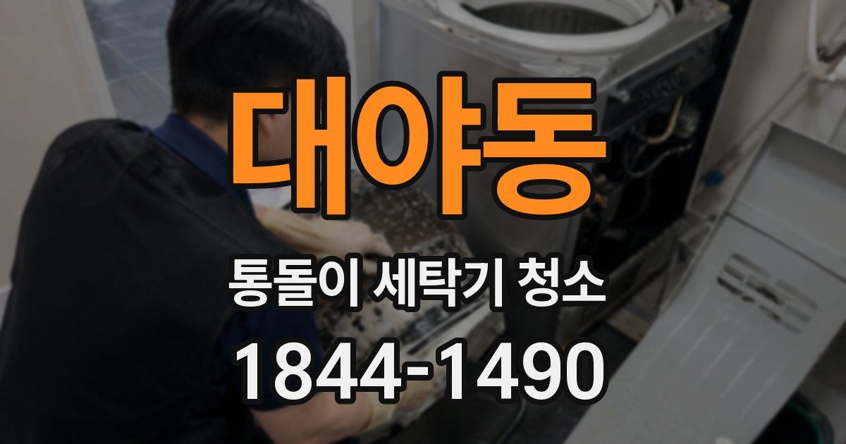 대야동 통돌이 세탁기 청소