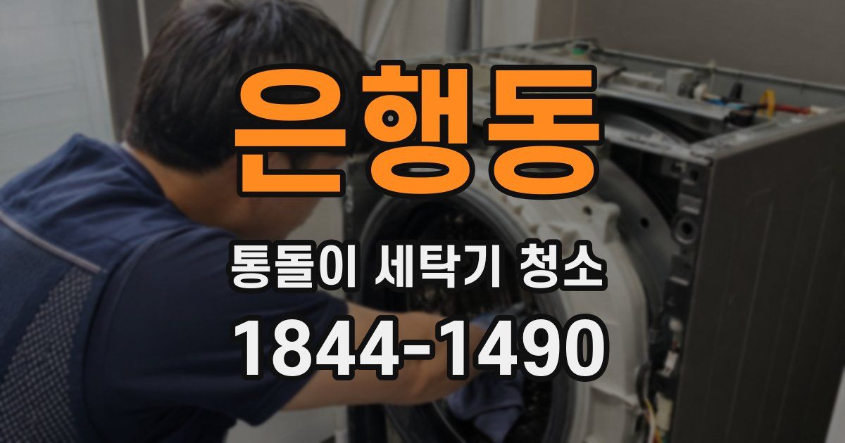 은행동 통돌이 세탁기 청소