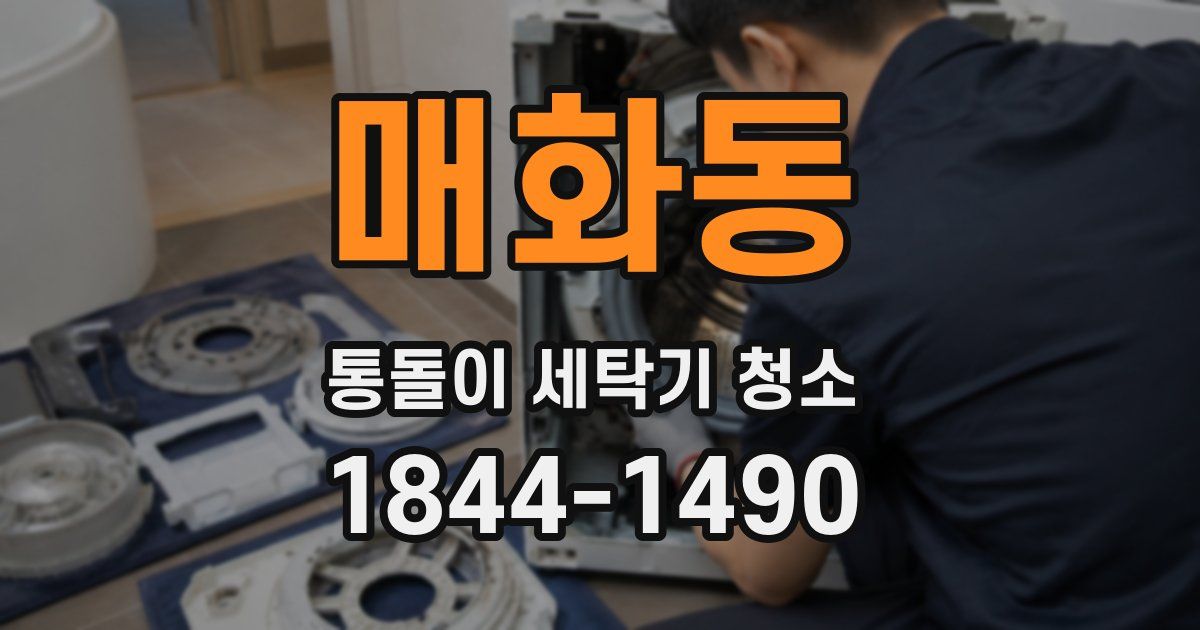 매화동 통돌이 세탁기 청소