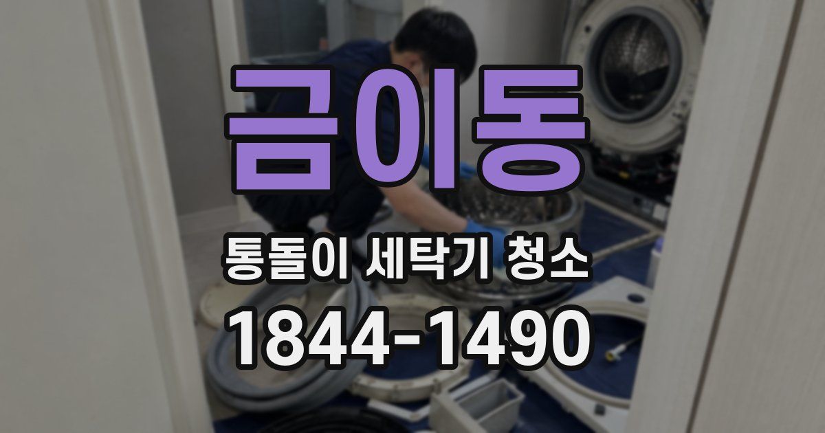 금이동 통돌이 세탁기 청소