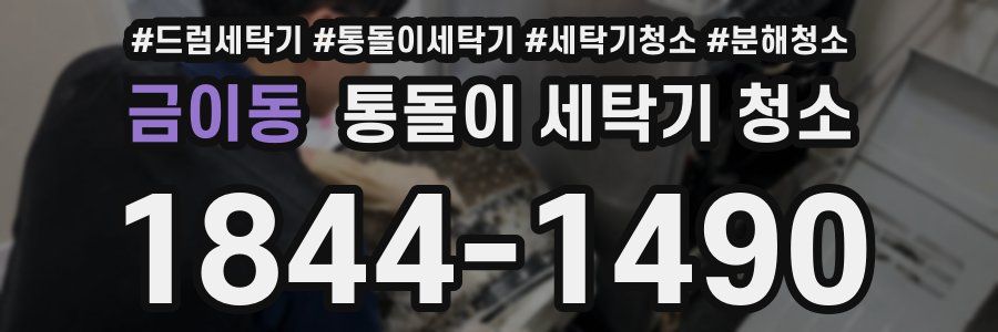 금이동 통돌이 세탁기 청소