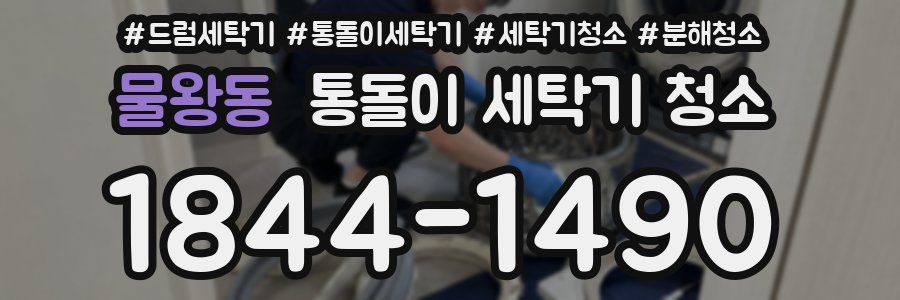 물왕동 통돌이 세탁기 청소