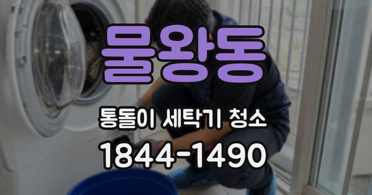 물왕동 통돌이 세탁기 청소