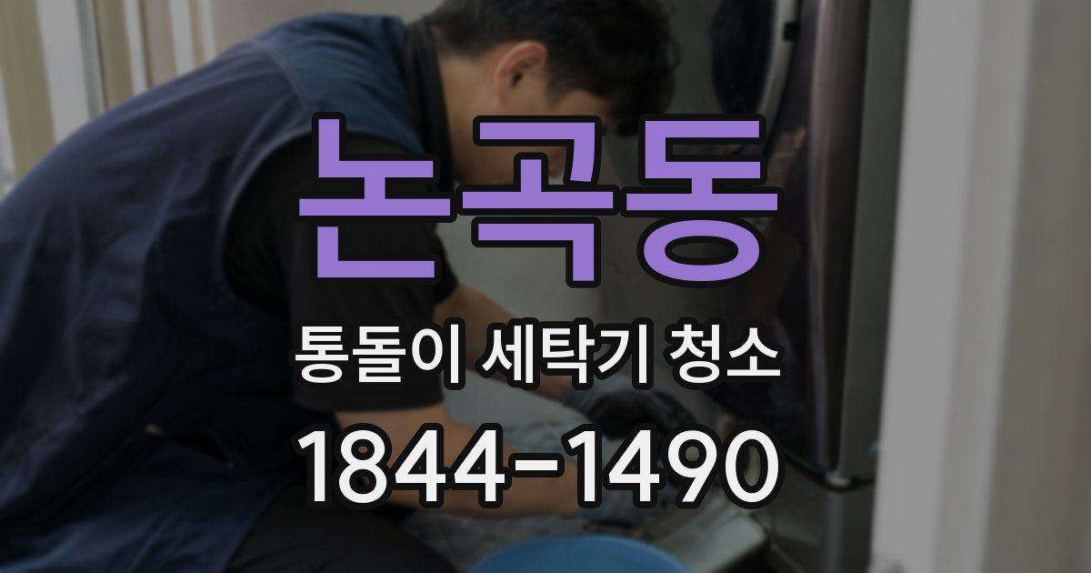 논곡동 통돌이 세탁기 청소