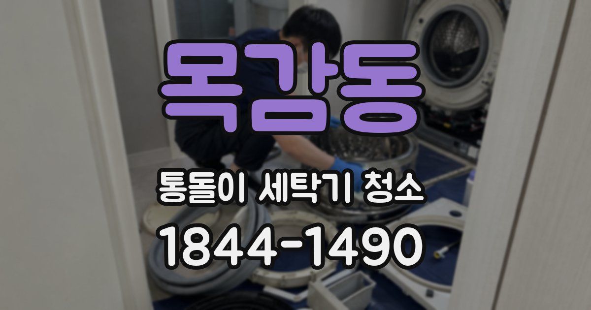 목감동 통돌이 세탁기 청소