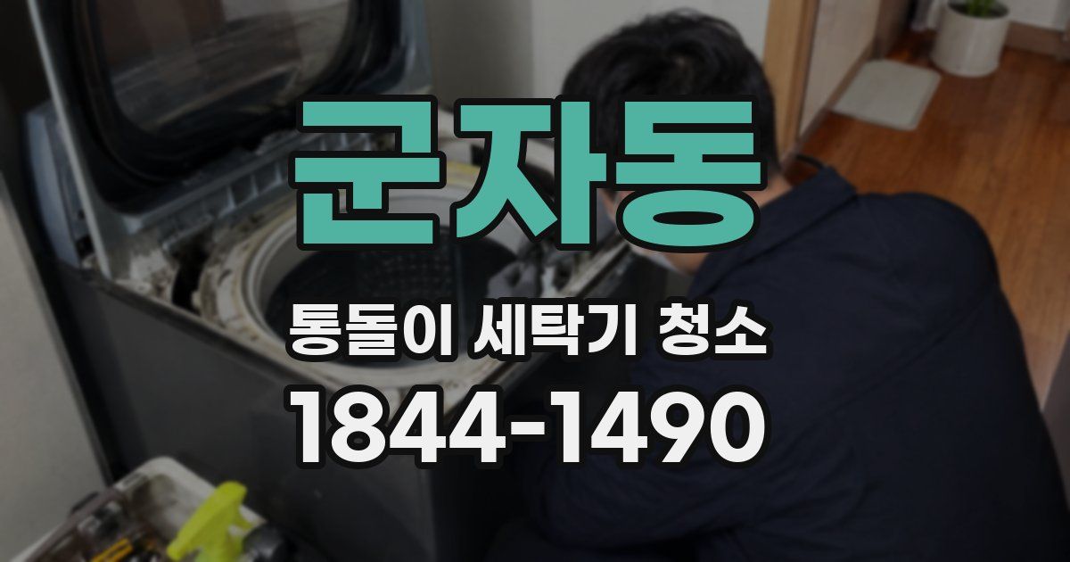 군자동 통돌이 세탁기 청소