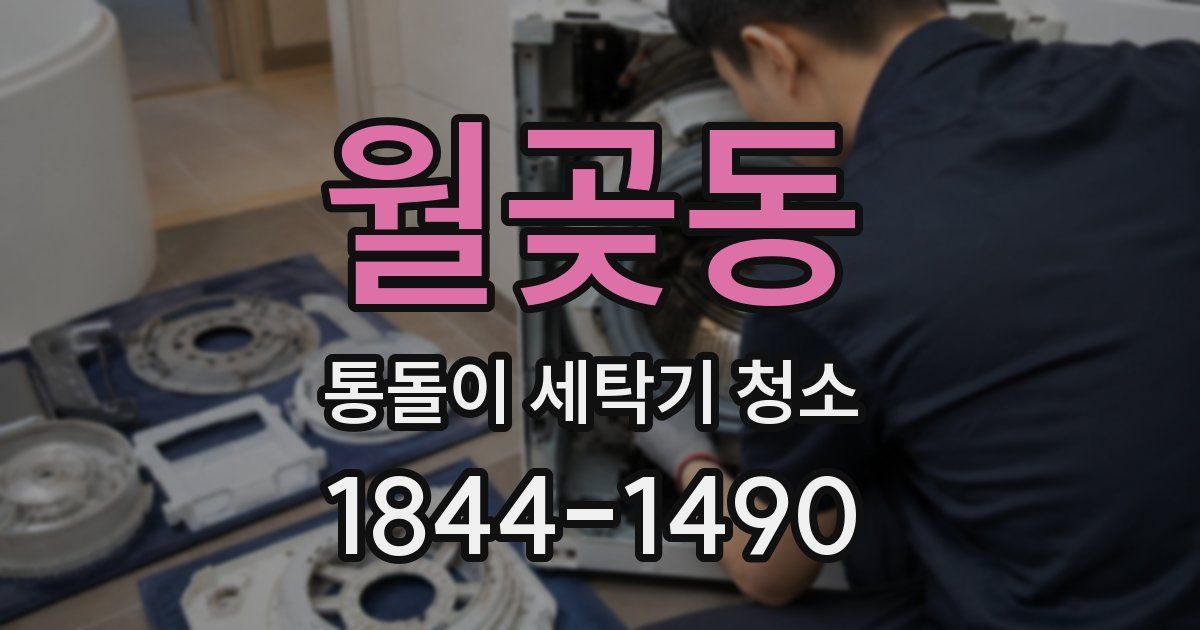 월곶동 통돌이 세탁기 청소