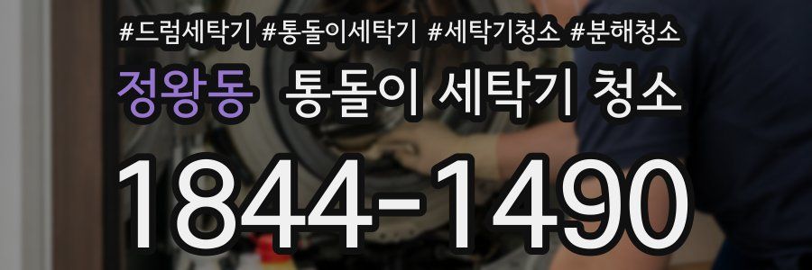 정왕동 통돌이 세탁기 청소