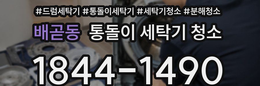 배곧동 통돌이 세탁기 청소