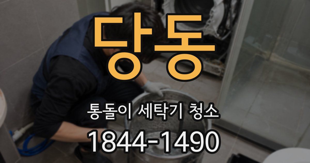 당동 통돌이 세탁기 청소