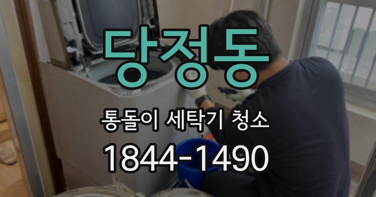 당정동 통돌이 세탁기 청소