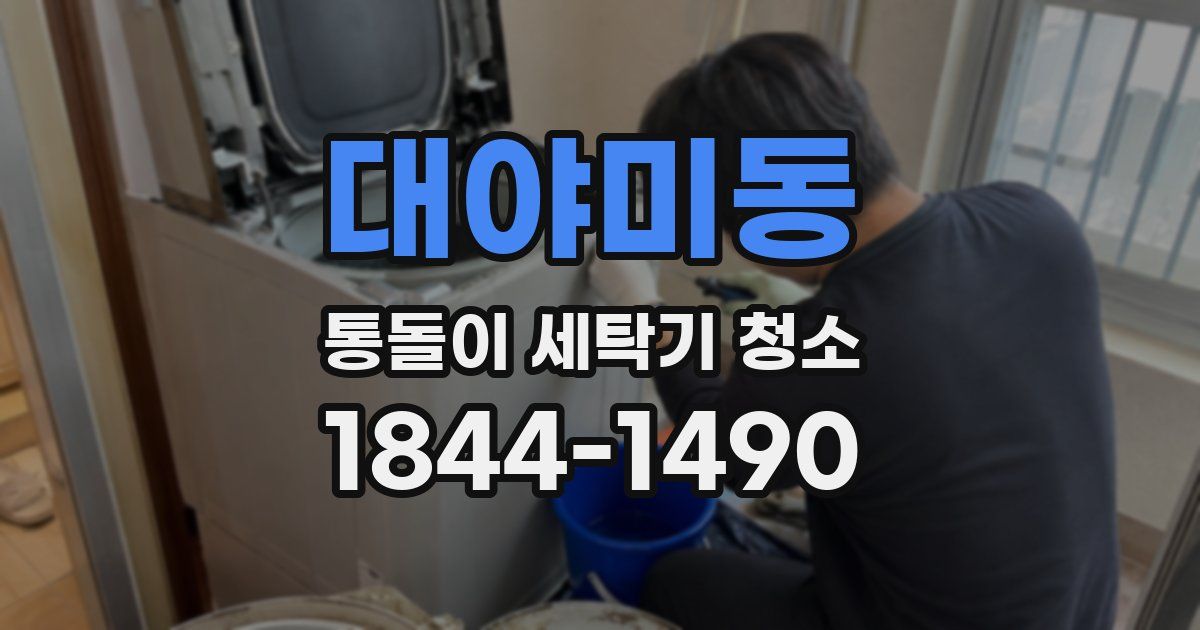 대야미동 통돌이 세탁기 청소