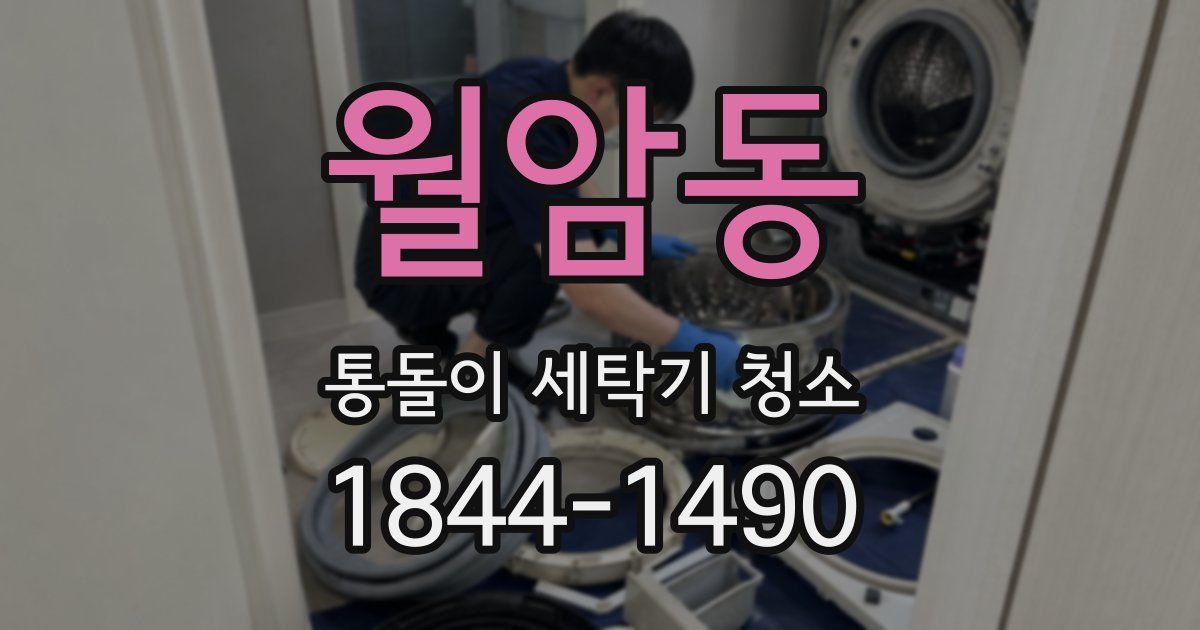 월암동 통돌이 세탁기 청소