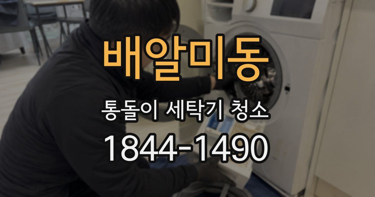배알미동 통돌이 세탁기 청소