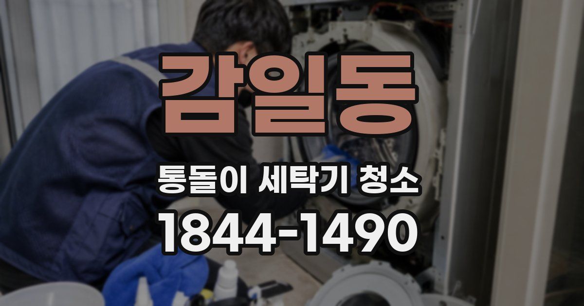 감일동 통돌이 세탁기 청소