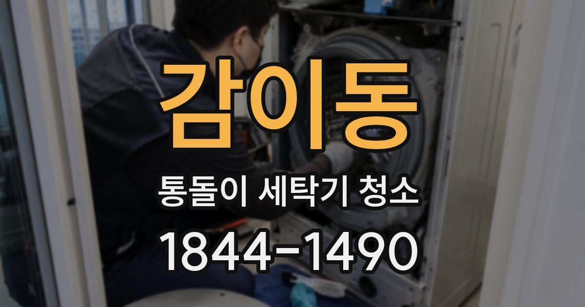 감이동 통돌이 세탁기 청소