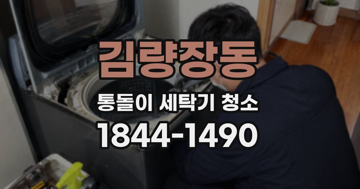 김량장동 통돌이 세탁기 청소