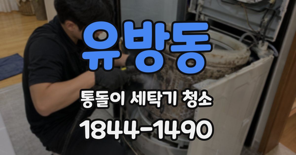 유방동 통돌이 세탁기 청소