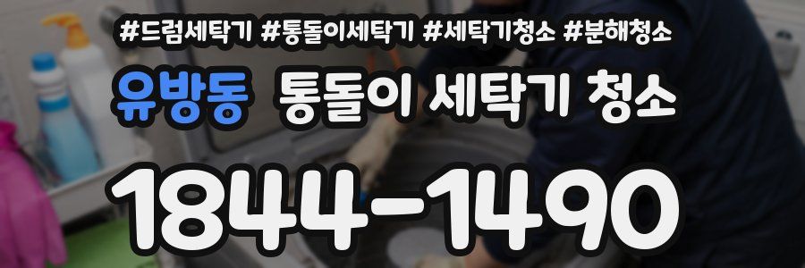 유방동 통돌이 세탁기 청소