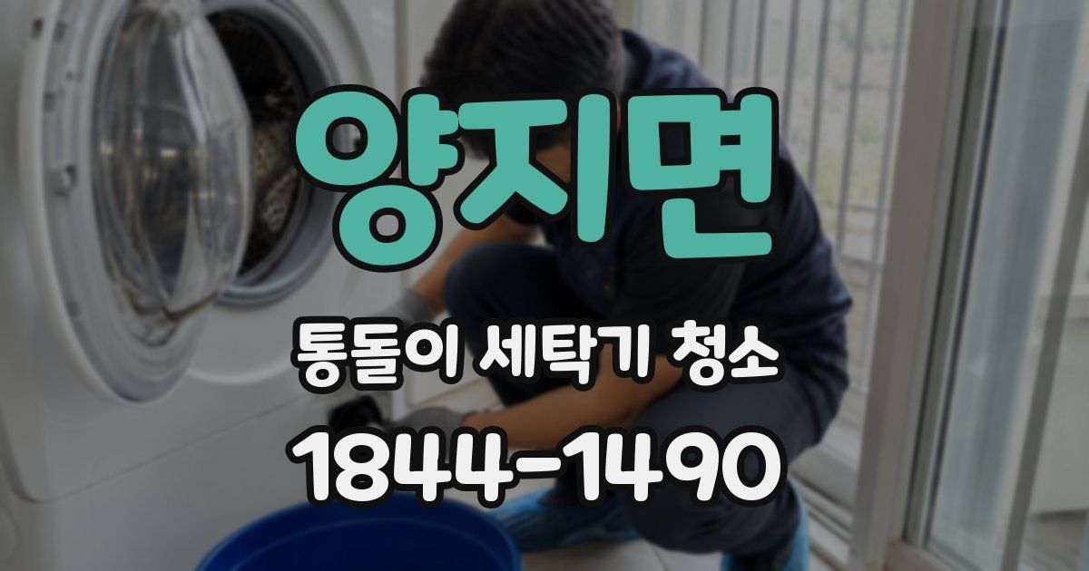 양지면 통돌이 세탁기 청소