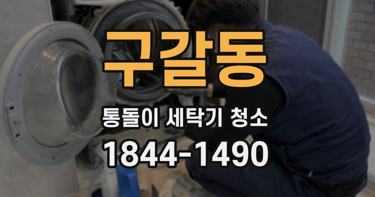 구갈동 통돌이 세탁기 청소