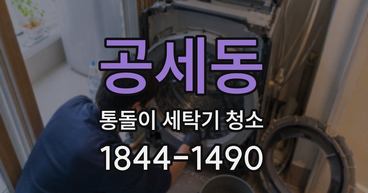 공세동 통돌이 세탁기 청소