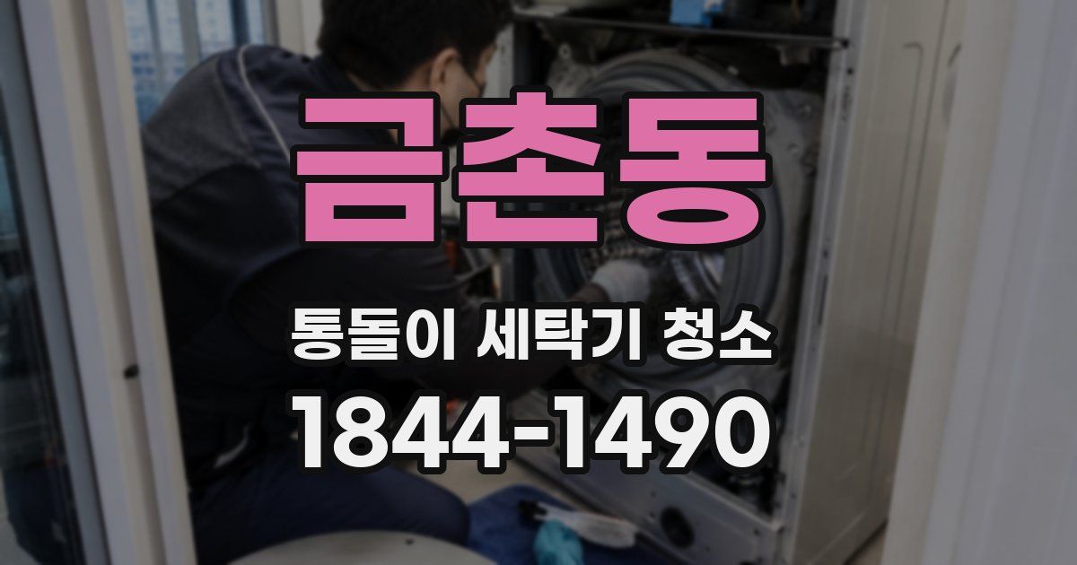 금촌동 통돌이 세탁기 청소