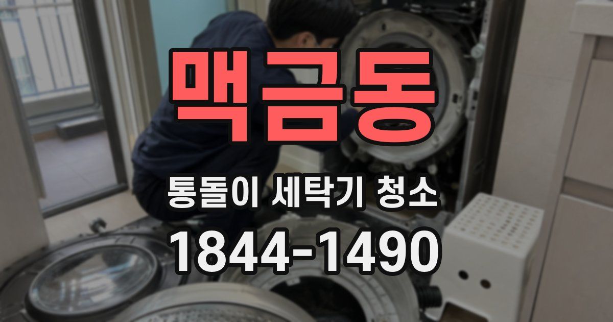 맥금동 통돌이 세탁기 청소