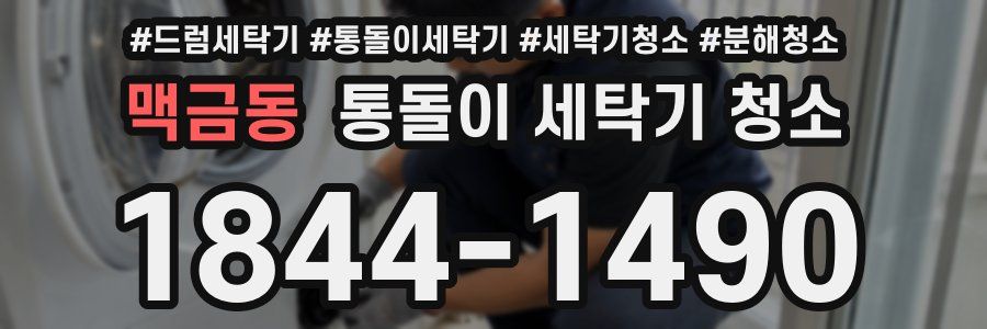 맥금동 통돌이 세탁기 청소