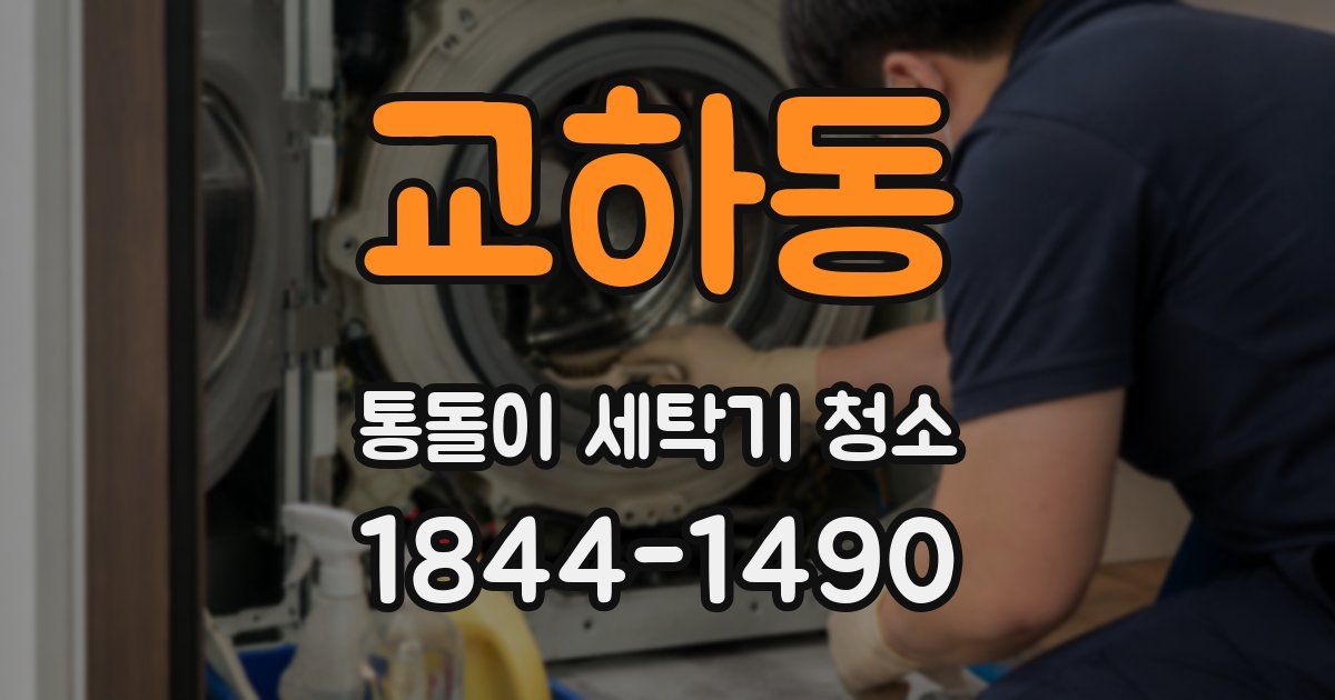 교하동 통돌이 세탁기 청소