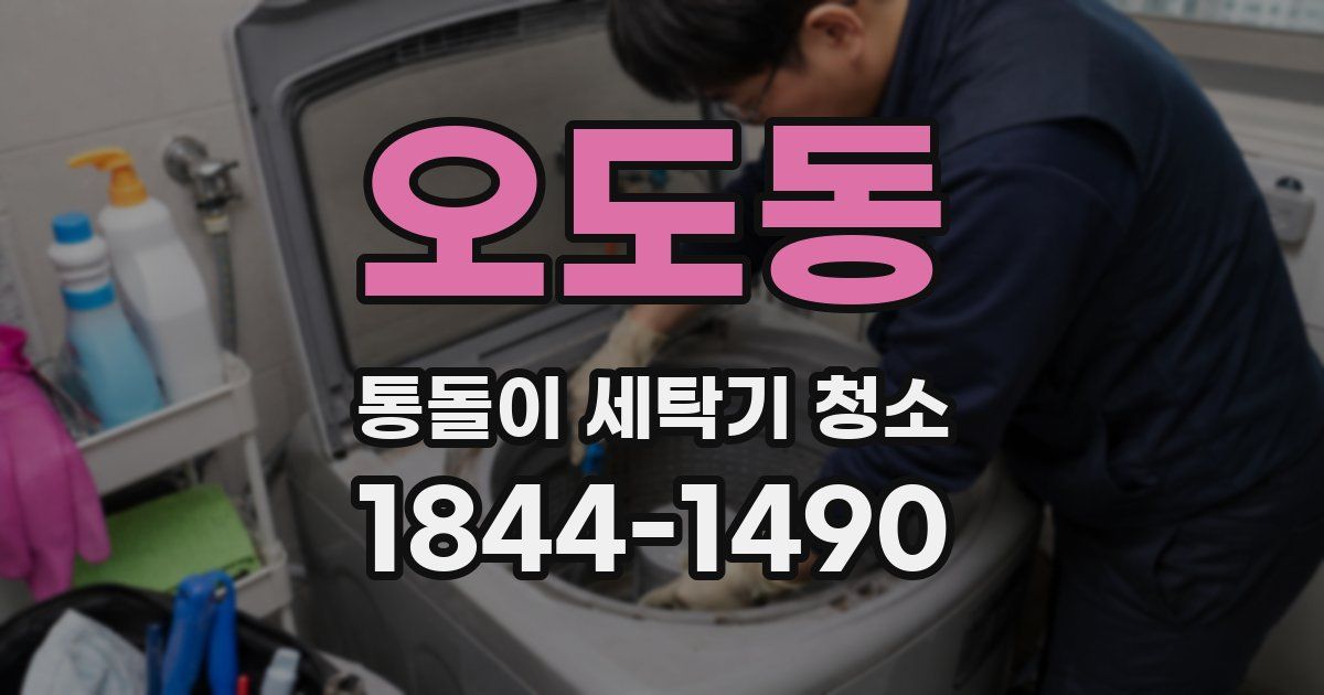 오도동 통돌이 세탁기 청소