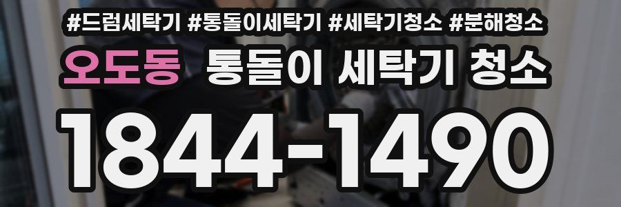 오도동 통돌이 세탁기 청소