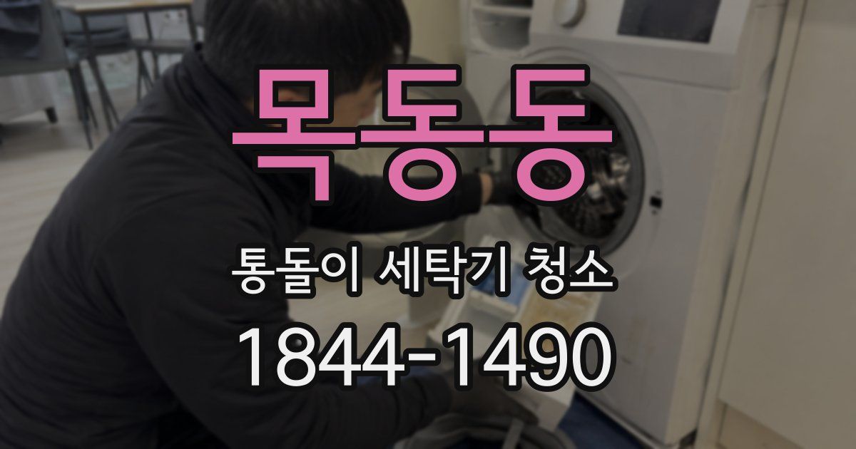 목동동 통돌이 세탁기 청소