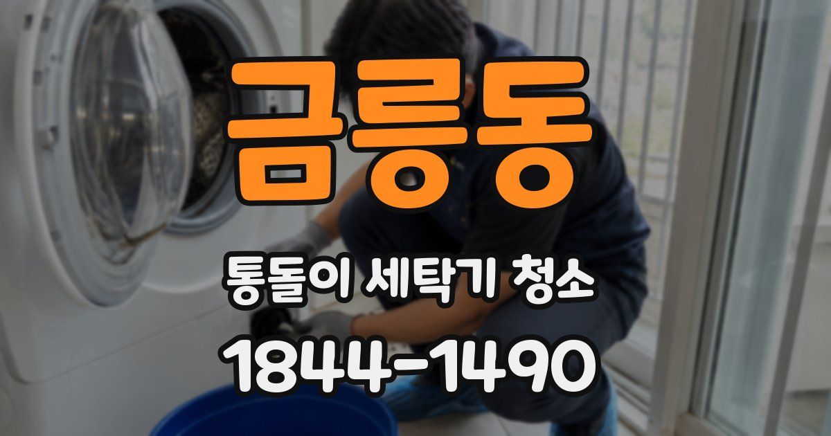 금릉동 통돌이 세탁기 청소