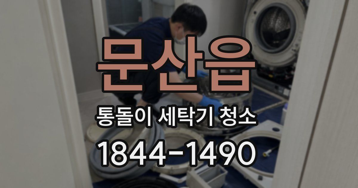 문산읍 통돌이 세탁기 청소