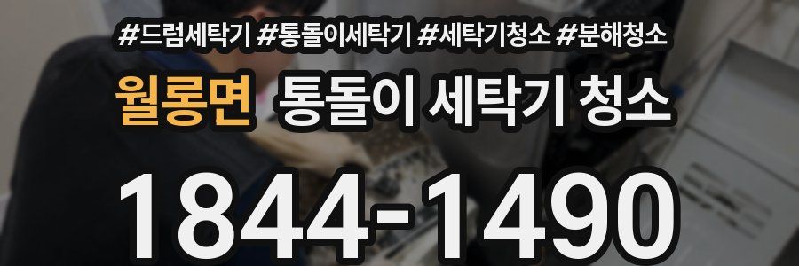 월롱면 통돌이 세탁기 청소
