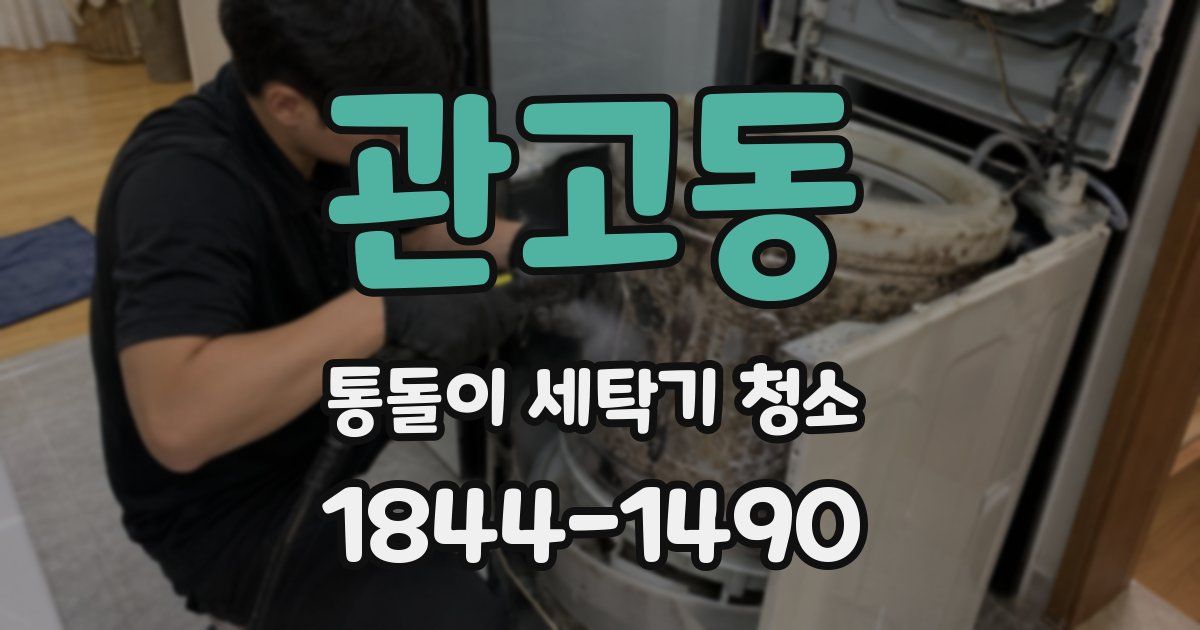 관고동 통돌이 세탁기 청소