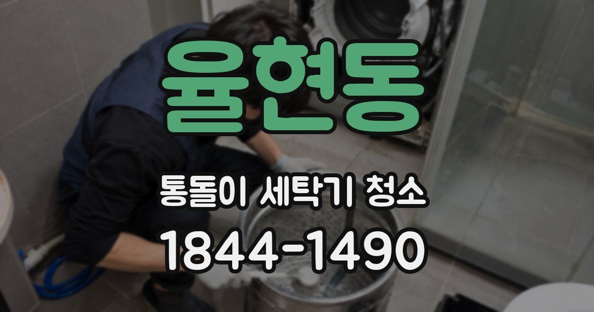 율현동 통돌이 세탁기 청소