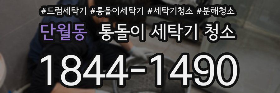 단월동 통돌이 세탁기 청소