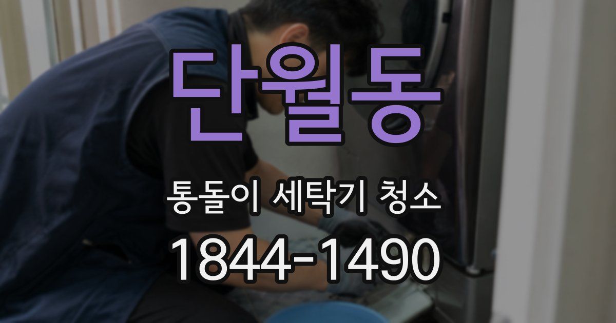 단월동 통돌이 세탁기 청소
