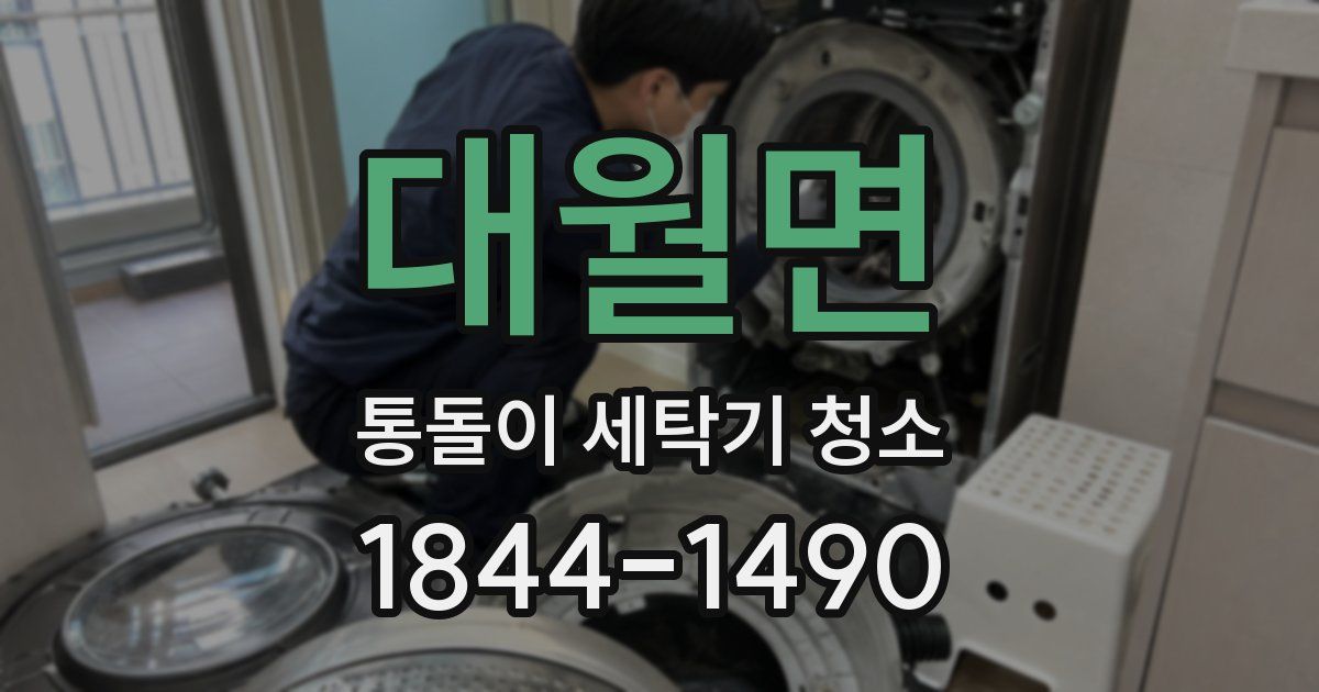 대월면 통돌이 세탁기 청소