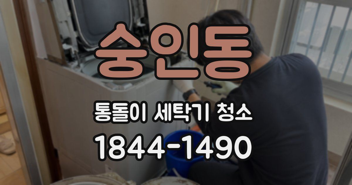 숭인동 통돌이 세탁기 청소