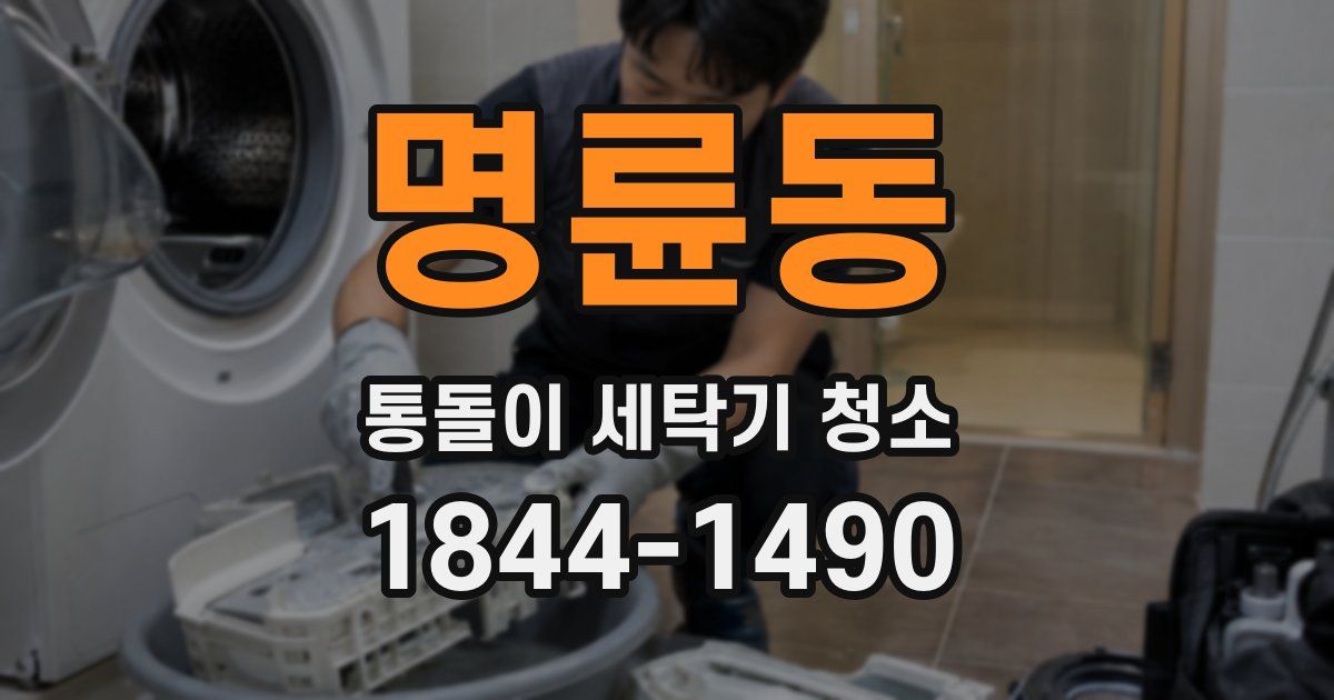 명륜동 통돌이 세탁기 청소