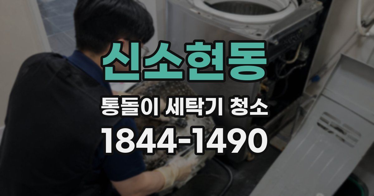 신소현동 통돌이 세탁기 청소