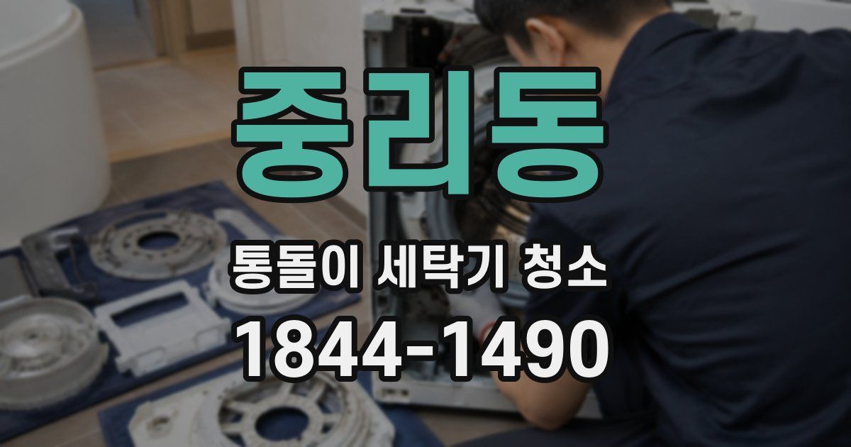 중리동 통돌이 세탁기 청소
