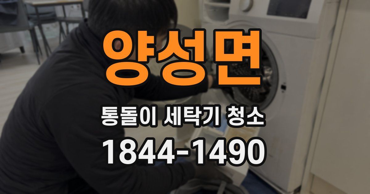 양성면 통돌이 세탁기 청소