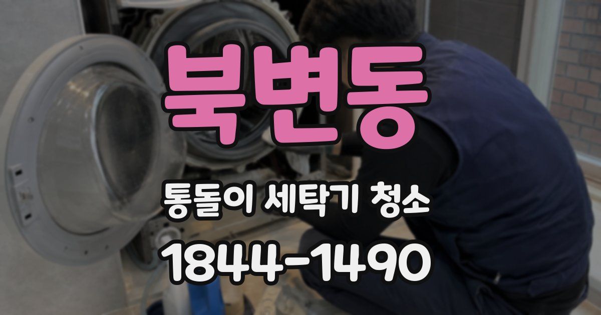 북변동 통돌이 세탁기 청소