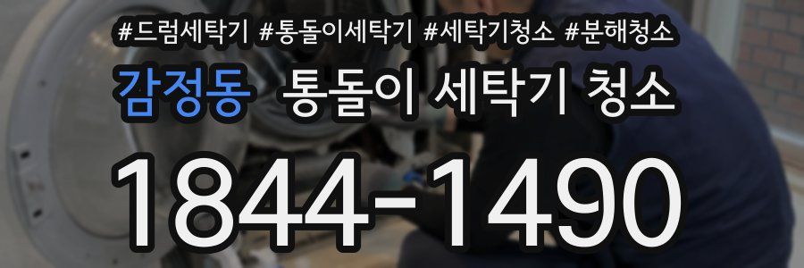 감정동 통돌이 세탁기 청소