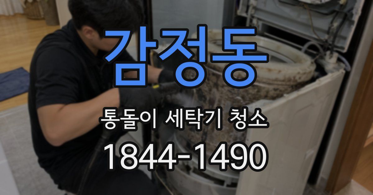 감정동 통돌이 세탁기 청소